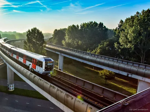 Regionalzug des Amsterdam Region Ticket fährt an Tulpenfeldern vorbei